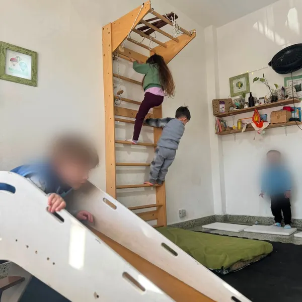 Niños trepando la escalera sueca
